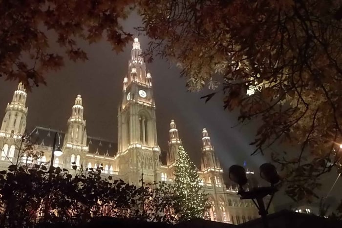 Wien: Tour on the historical trail of the Christmas Tree