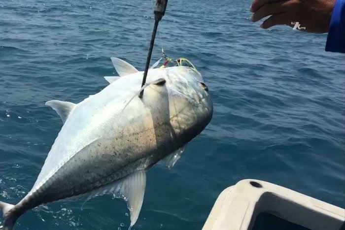 Excursión de pesca en alta mar en Phu Quoc