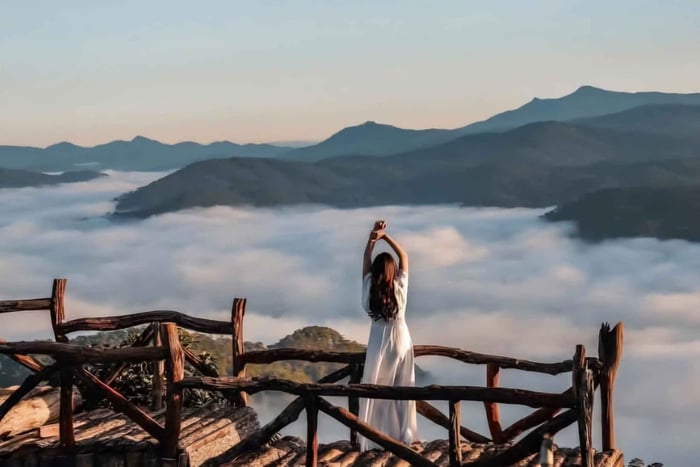 Da Lat: Cloud Hunting and Nature Morning Tour