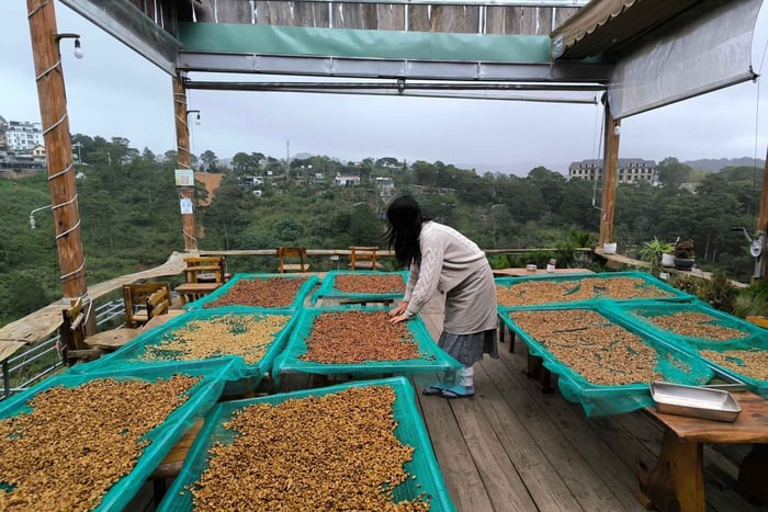 Experience specialty coffee with sustainable coffee farmers