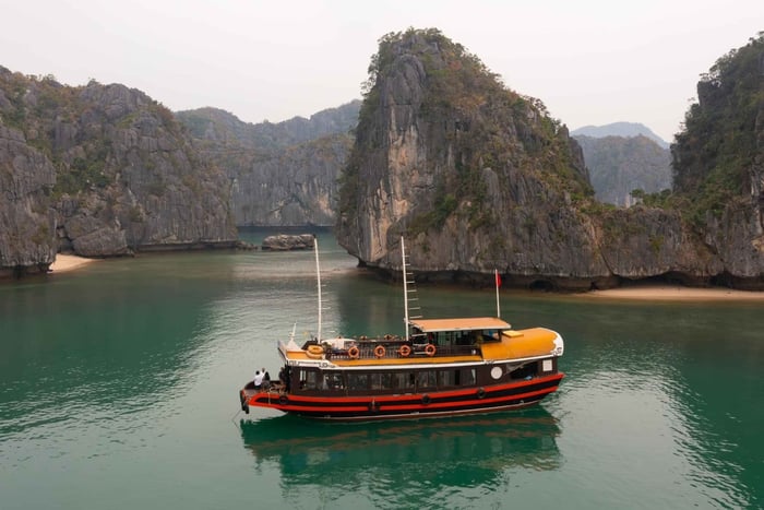 Da Hanoi/Cat Ba: Escursione in barca di una giornata intera nella baia di Lan Ha
