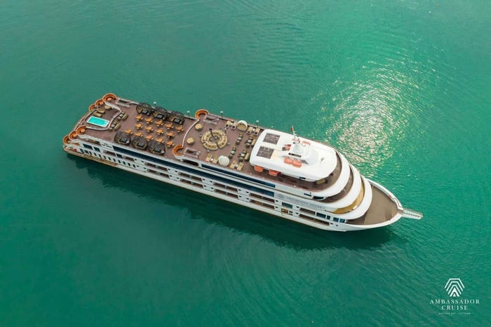 Ha Long: Luxury Day Cruise with Lunch, Music, and Cave Visit