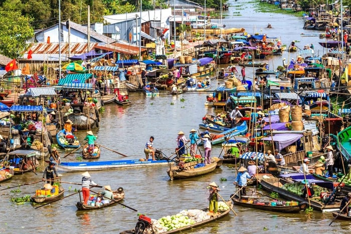 Ho Chi Minh City: Tho Tour: Cai Rang Floating Market Can Tho Tour