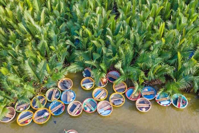 Hoi An: clase de cocina, pesca y aventura en barca de cesta