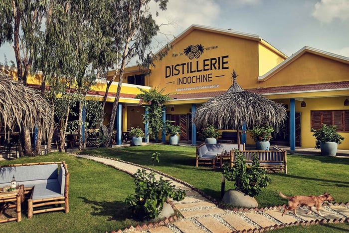 Hoi An: Sampan Rum Distillery Guided Tour with Tasting