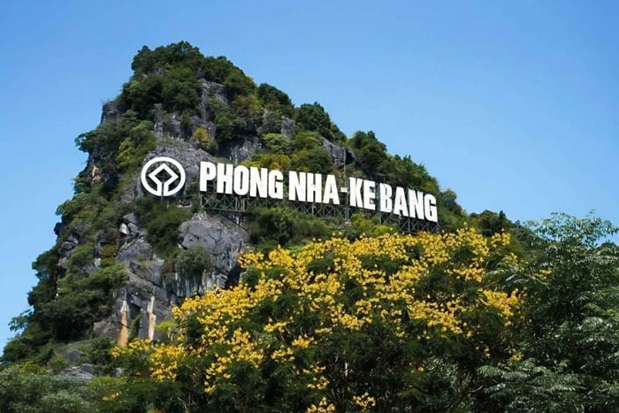 Huế: gita di 1 giorno alla grotta di Phong Nha con pranzo e giro in barca