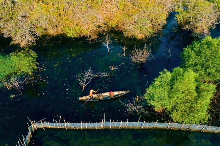 Hue: Tur i Ru Cha-mangroveskogen og Dam Chuon-lagunen