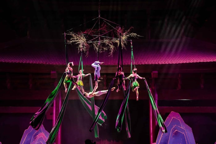 Ninh Binh: Emperor Of The Reeds Show Ticket