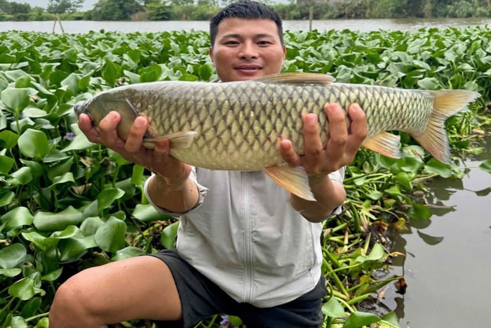 Ninh Binh: Tur med traditionelt fiskeri og Trang An, der er på UNESCO-Verdensarvslisten