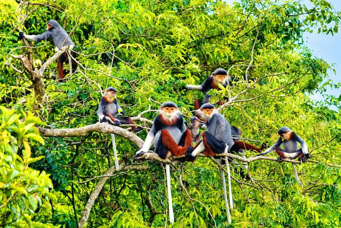 Ninh Binh: Wildlife, Jungle Hike, Cuc Phuong Park Guide Tour