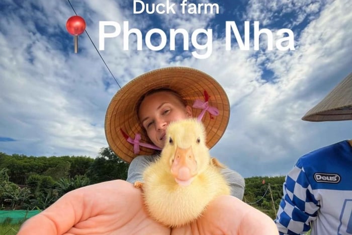 Phong Nha : visitez The Duck Stop et découvrez Duck Leader