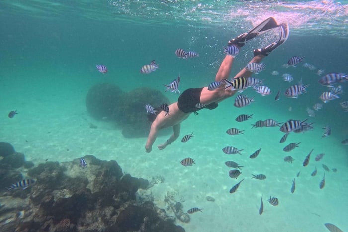 Phu Quoc: Tur til 3 øer med kabelbane og frokostbuffet