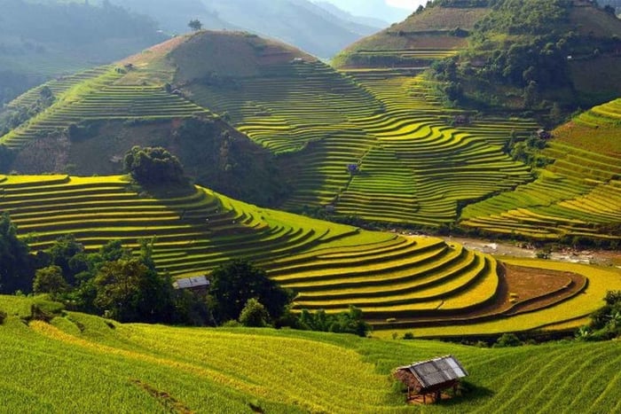 Sa Pa: Muong Hoa Valley Trek and Local Ethnic Villages