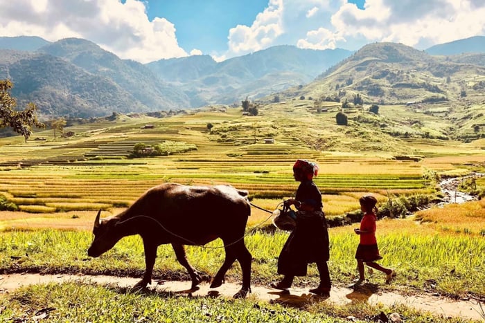 Sapa: senderismo a las aldeas de Y Linh Ho, Lao Chai y Ta Van