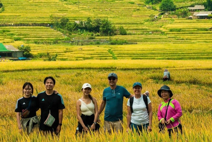 Sapa: Halvdagsudflugt til landsbyerne Y Linh Ho, Lao Chai og Ta Van