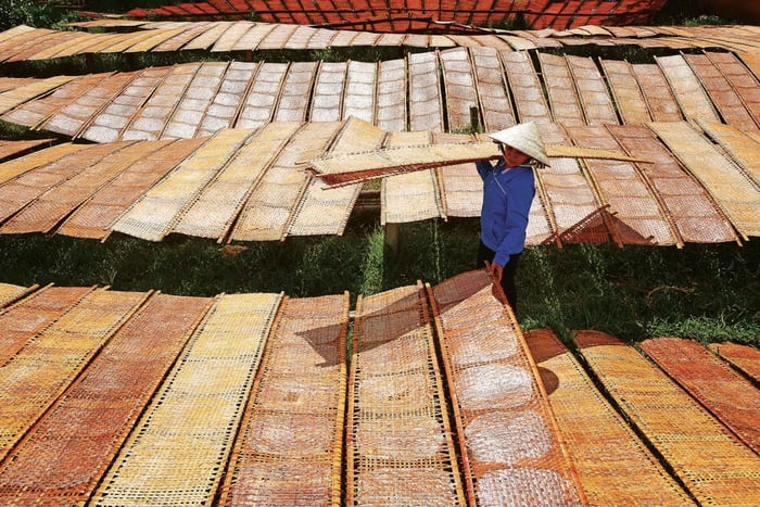 Tay Ninh Craft Village: Rice Paper & Local Salt Experience