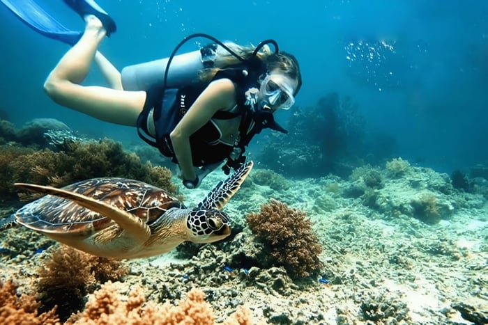 Visit Cham Islands & Snorkelling & Scuba Diving