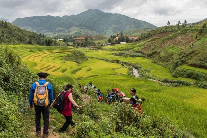 7-Day Adventure: Sapa - Ha Long Overnight Cruise - Ninh Binh