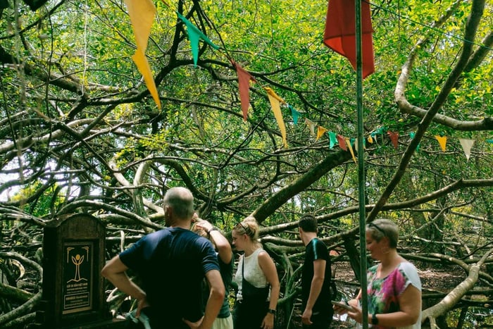 Can Tho: Rural Mekong Tour with Local Crafts