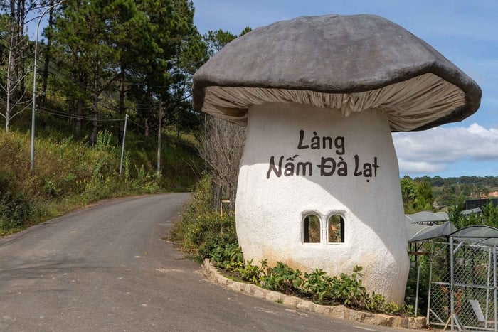 Da Lat: Easy Rider Countryside Adventure Tour