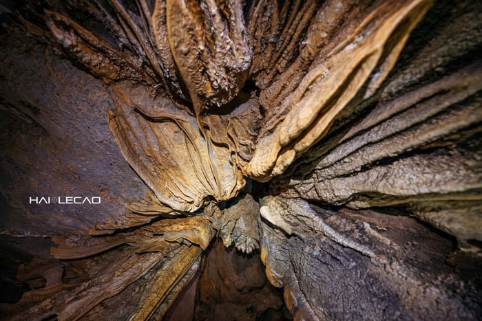 From Ha Noi: Cha Loi Cave Adventure with Overnight Train