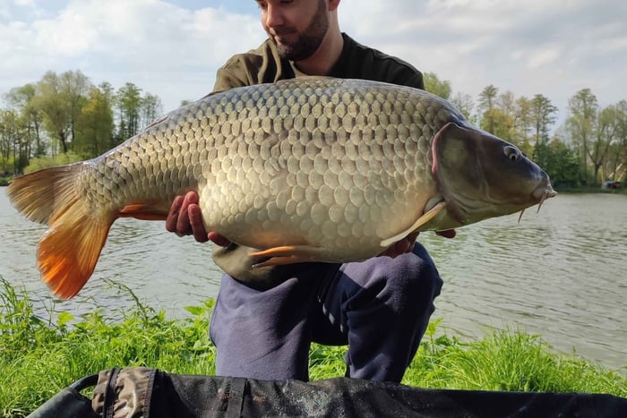 Varsóvia: Excursão Particular de Pesca de Carpa com Guia e Transfer