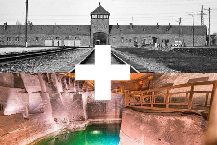 Cracovia: Tour Guidato ad Auschwitz-Birkenau e Miniera di Sale
