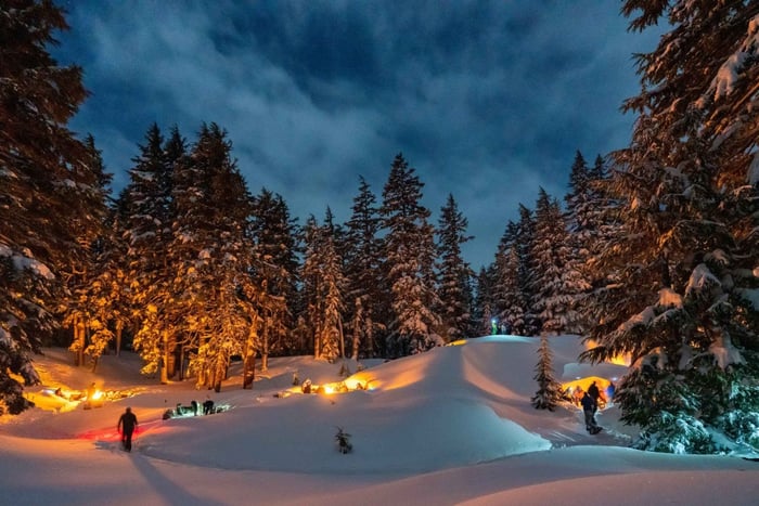 Bend: Excursión con raquetas de nieve por las Montañas Cascade y hoguera