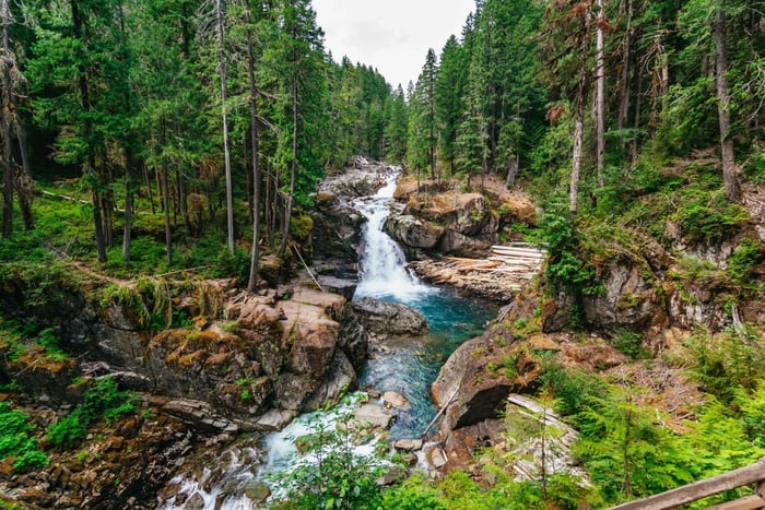 Vanuit Seattle: rondleiding naar Mount Rainier National Park