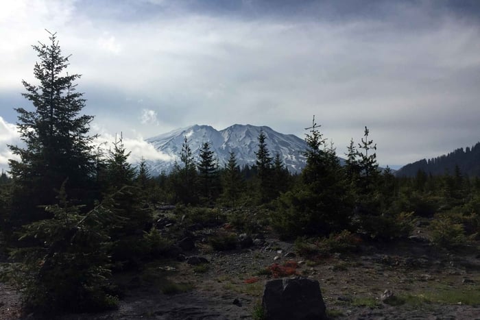 Portland: The Mt. St. Helens Adventure Tour