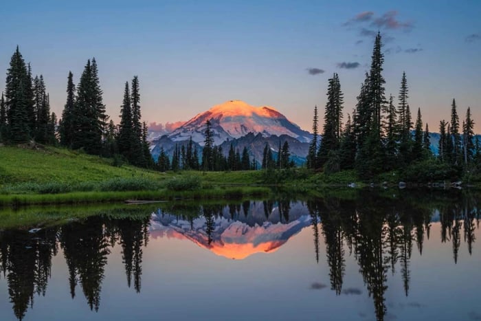 Retour vanuit Seattle: dagtour naar Nationaal Park Mount Rainier