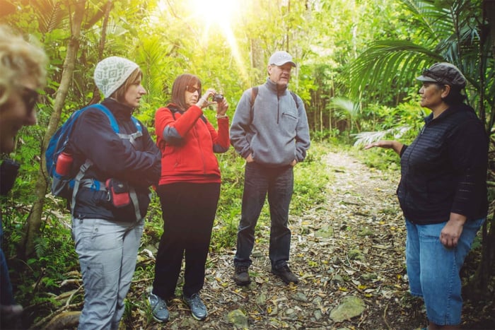 Fra Wellington: Kapiti Island Classic omvisning med guide