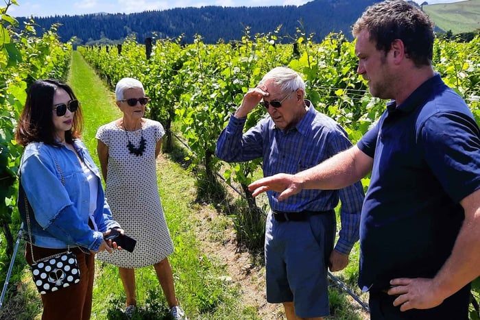 Tour gastronómico e de vinhos de Martinborough com almoço a partir de Wellington