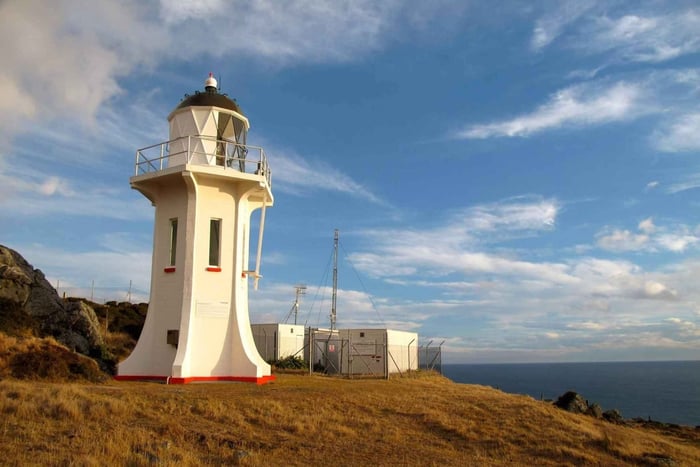 Wellington: Baring Head Lighthouse Walk