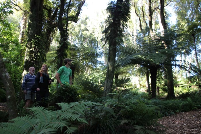 Full-Day Eco Trek, Seal Colony & Farm Tour from Wellington