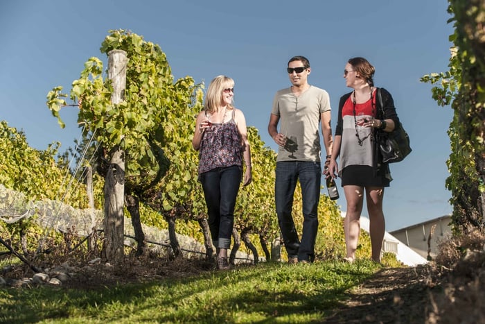 Martinborough Wine Tour with Platter Lunch from Wellington