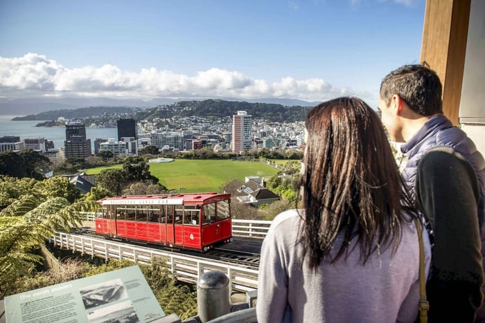 Wellington City Sights and Coastline 2.5-Hour Tour