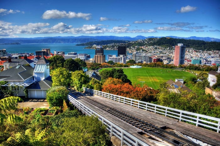 Wellington Guided Sightseeing Tour