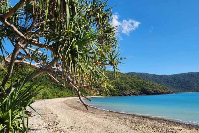 Fra Airlie Beach: Bushwalking-eventyr fra regnskoven til revet