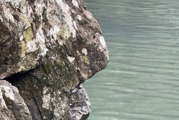 Airlie Beach: zwemgat en culturele eco-ervaring