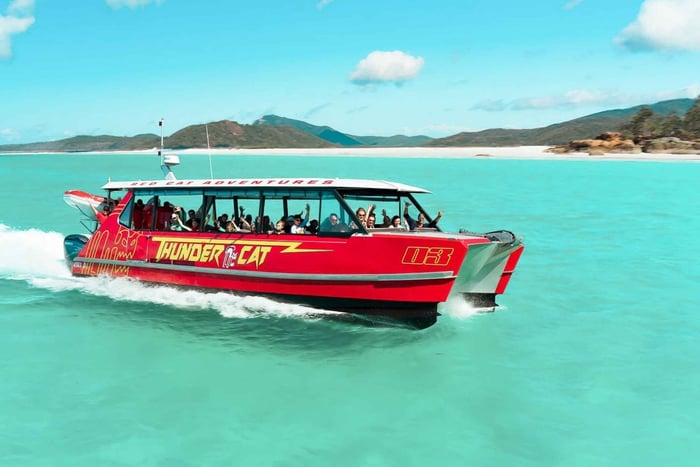 Airlie Beach: Whitehaven heldags øko-krydstogt med buffet