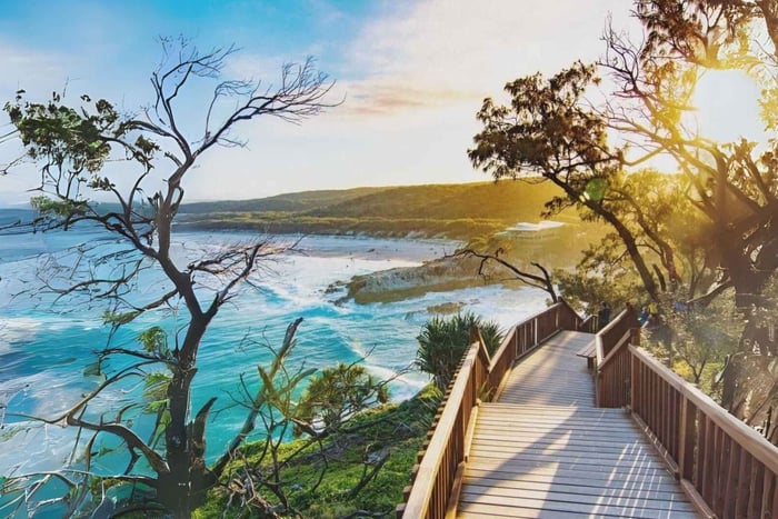 Da Brisbane a North Stradbroke Island: fauna selvatica e spiagge