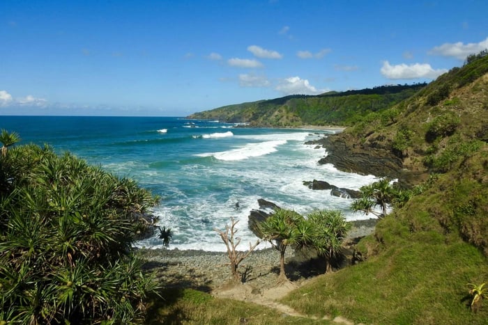 Broken Head: Nature Reserve Guided Eco-Tour with Beach Visit