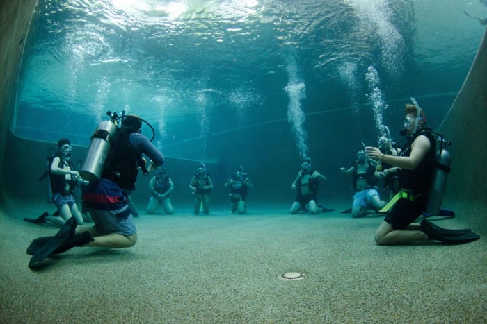 Cairns: 4-dagars PADI Open Water-kurs