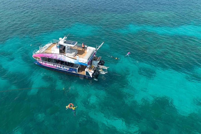 Cairns: Halvdags snorkling på Great Barrier Reef med alt inkluderet
