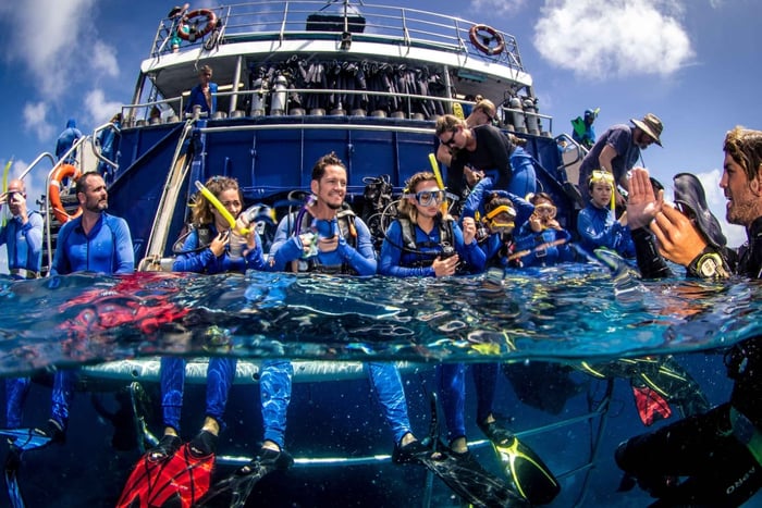 Cairns: la migliore escursione all-inclusive alla barriera corallina con immersione subacquea