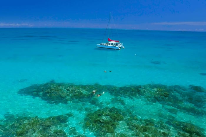 Depuis Cairns : excursion snorkeling en petit groupe dans la Grande Barrière de Corail