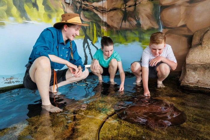 Darwin: Whipray Encounter with Entry to Crocosaurus Cove