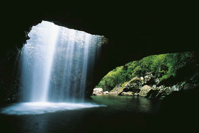 Côte d'Or : Visite du pont naturel et des chutes d'eau de Springbrook
