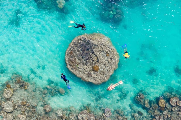 Hamilton Island: Half Day Reef & Snorkel Adventure Splash